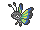 :vivillon-savanna: