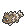 :zigzagoon: