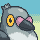 :pmd/pidove: