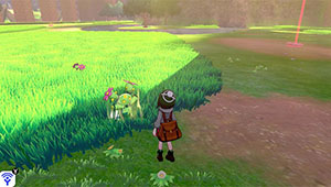 Brilliant aura (overworld grass)