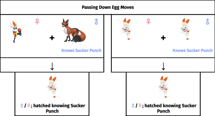 Generation 8 Breeding Guide - Smogon University