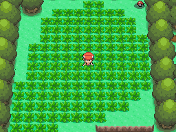 Poké Radar Exclusive Pokémon - Poké Radar - Tips & Tricks, Pokémon: Brilliant Diamond & Shining Pearl