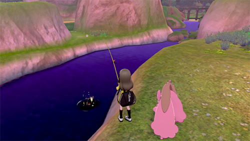 Fishing in SWSH