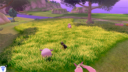 More details about the Wild Area in Pokemon Sword/Shield and shiny
