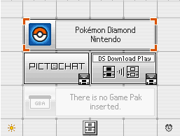 DS Game Selected