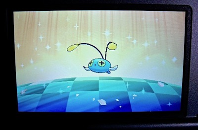 Chinchou hatching