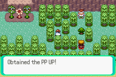Pokemon Emerald Location Maps Smogon University