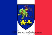 France's flag