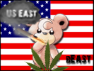 US East's flag