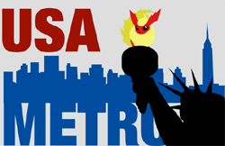 US Metro's flag