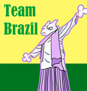 Brazil's flag